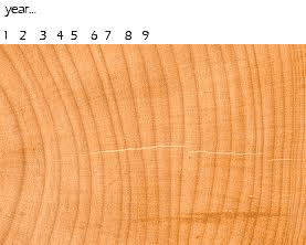 Tree Rings