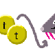 tt alleles and mouse with fangs
