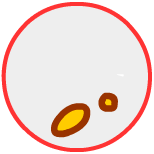 One oval and one circle