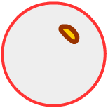 Small oval