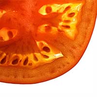 tomato